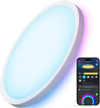 Govee Smart Ceiling Light Rgbic LED Ceiling Light